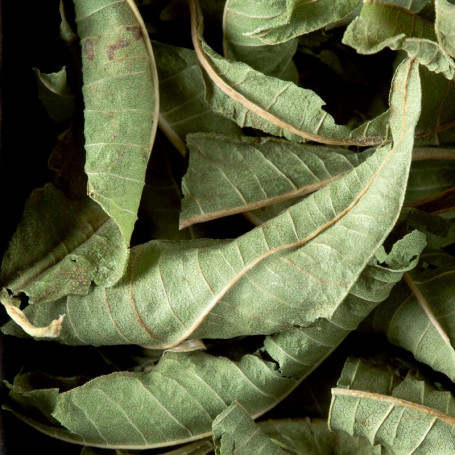 Tisane Verveine Feuilles