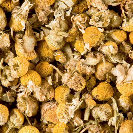 Tisane Camomille