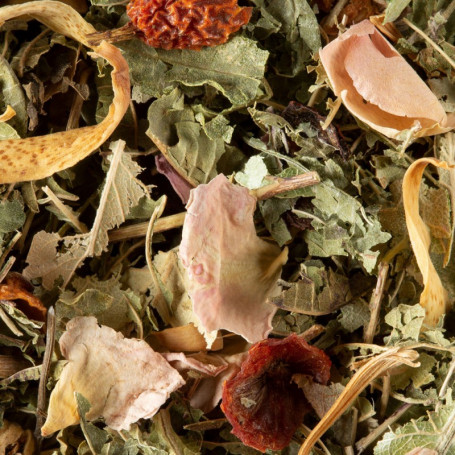 Tisane Nuit à Versailles