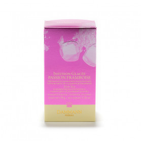 Infusion Glacée - Passion Framboise - 6 Sachets
