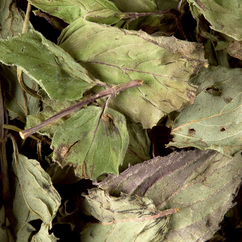 Tisane Menthe Poivrée Tisane Menthe Poivrée