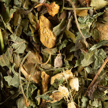 Tisane - Magic Ginger