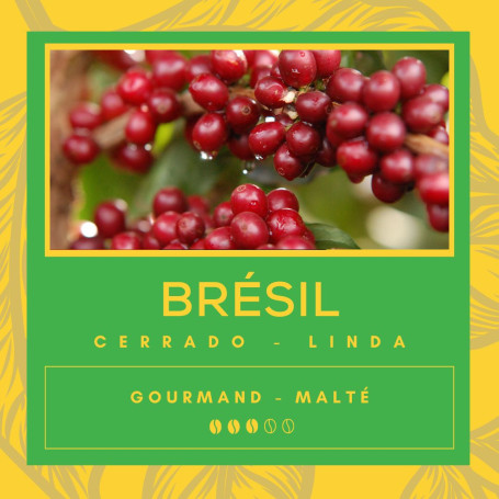 Café Brésil - Cerrado Mineiro