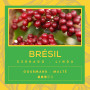 Café Brésil - Cerrado Mineiro - Linda