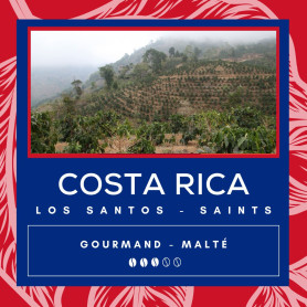 Café Costa Rica - Tarrazu - Buho - Secret des Arômes