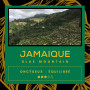Café Jamaïque - Blue Mountain