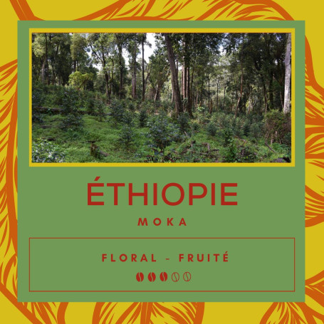 Café Ethiopie - Moka - Sidamo