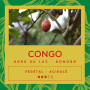 Café Congo Région Kivu Bord Lac - Bonobo