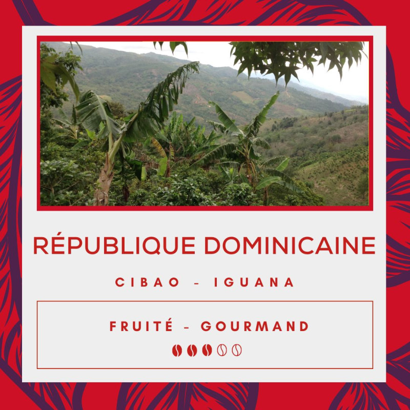 Café République Dominicaine Iguana - Ocoa