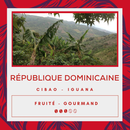 Café République Dominicaine Iguana - Ocoa