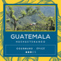Café Guatemala Huehuetenango - Maya