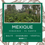 Café Mexique Veracruz - El Santo