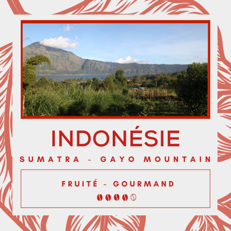 Café Indonésie Sumatra - Gayo Mountain