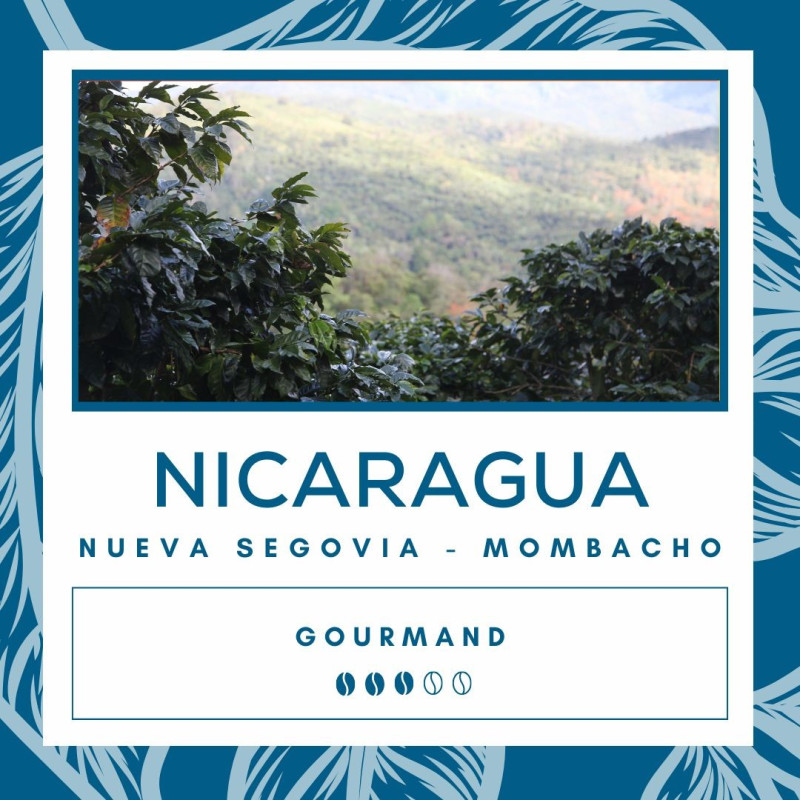 Café Nicaragua Nueva Segovia - Mombacho Café Nicaragua Nueva Segovia - Mombacho