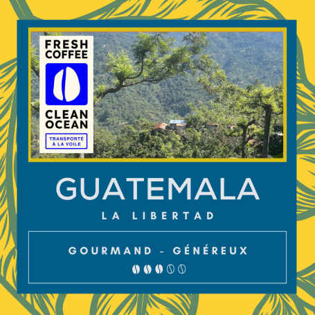 Café La Mochilita Guatemala – Arabica Torréfié en Normandie