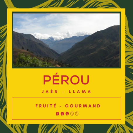 Café Pérou - Jaén - Llama