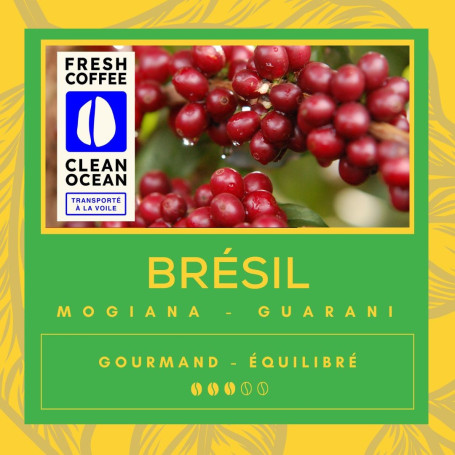 Café Guarani Brésil – Arabica Torréfié en Normandie