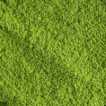 Thé Vert du Japon - Matcha Tradition - 15 Sticks