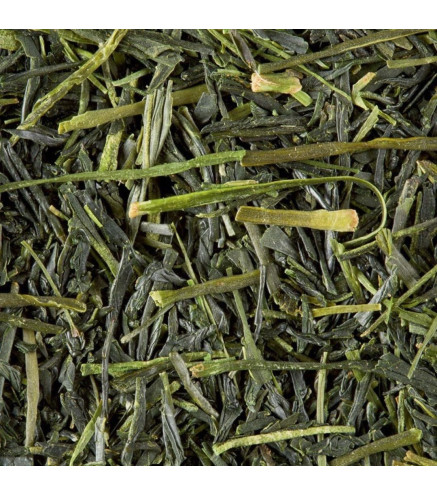 Sencha Tensū Dammann Frères – Thé vert japonais en vrac