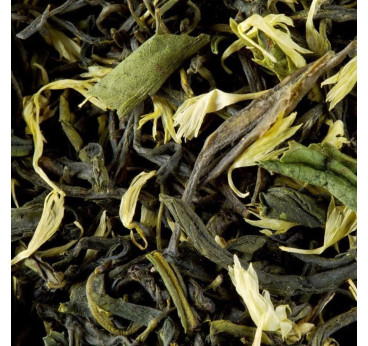 Earl Grey Vert Primeur – Thé vert à la bergamote Dammann Frères