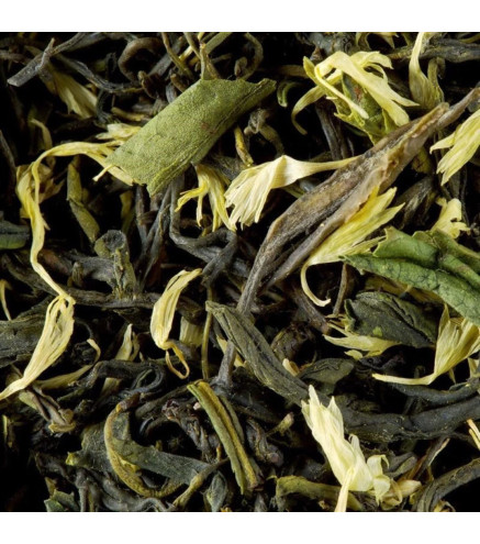 Earl Grey Vert Primeur – Thé vert à la bergamote Dammann Frères