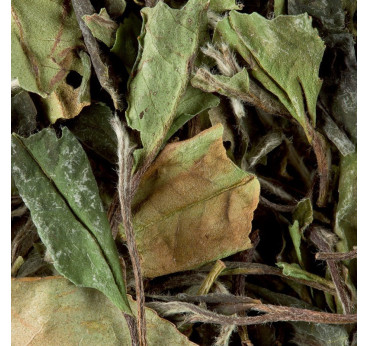 Paï Mu Tan Pivoine Blanche Dammann Frères – Thé blanc de Chine en vrac
