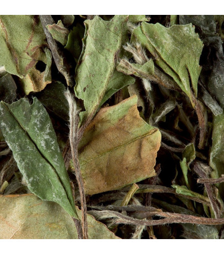Paï Mu Tan Pivoine Blanche Dammann Frères – Thé blanc de Chine en vrac