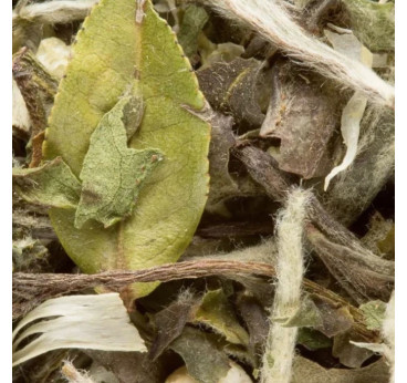 Great Earl Grey Dammann Frères – Thé blanc à la bergamote en vrac