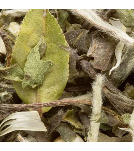 Great Earl Grey Dammann Frères – Thé blanc à la bergamote en vrac