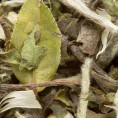Thé Blanc - Great Earl Grey