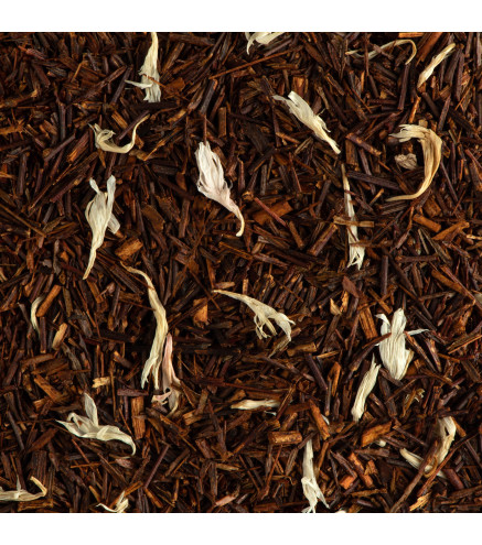 Rooibos Canissoun Dammann Frères – Infusion gourmande façon calisson