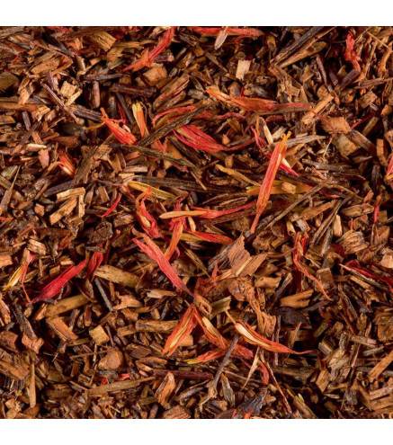 Rooibos Pecan Pie Dammann Frères – Infusion gourmande sans théine
