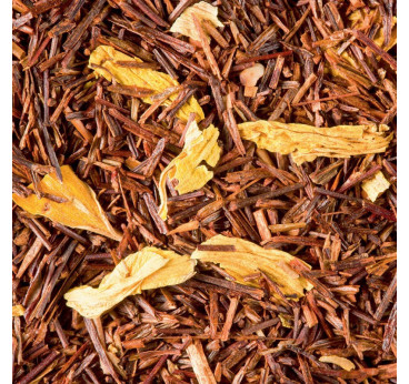 Rooibos Caramel-Toffee Dammann Frères – Infusion sans théine