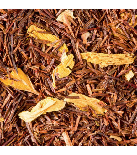 Rooibos Caramel-Toffee Dammann Frères – Infusion sans théine