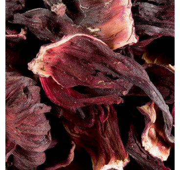 Carcadet Hibiscus - Dammann Frères