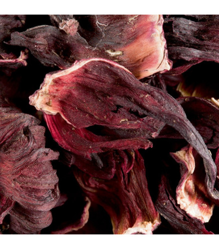 Carcadet Hibiscus - Dammann Frères
