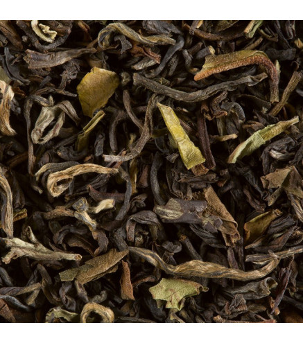 Thé Noir Altitude Dammann Frères – Darjeeling, Népal et Sikkim