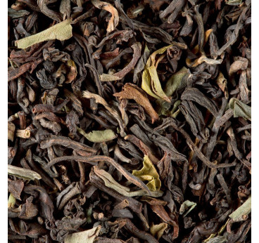 Darjeeling G.F.O.P. Supérieur Second Flush – Dammann Frères