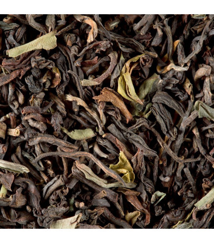 Darjeeling G.F.O.P. Supérieur Second Flush – Dammann Frères