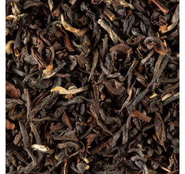 Thé Noir Dammann Phuguri – Darjeeling d'Inde | Dammann Frères