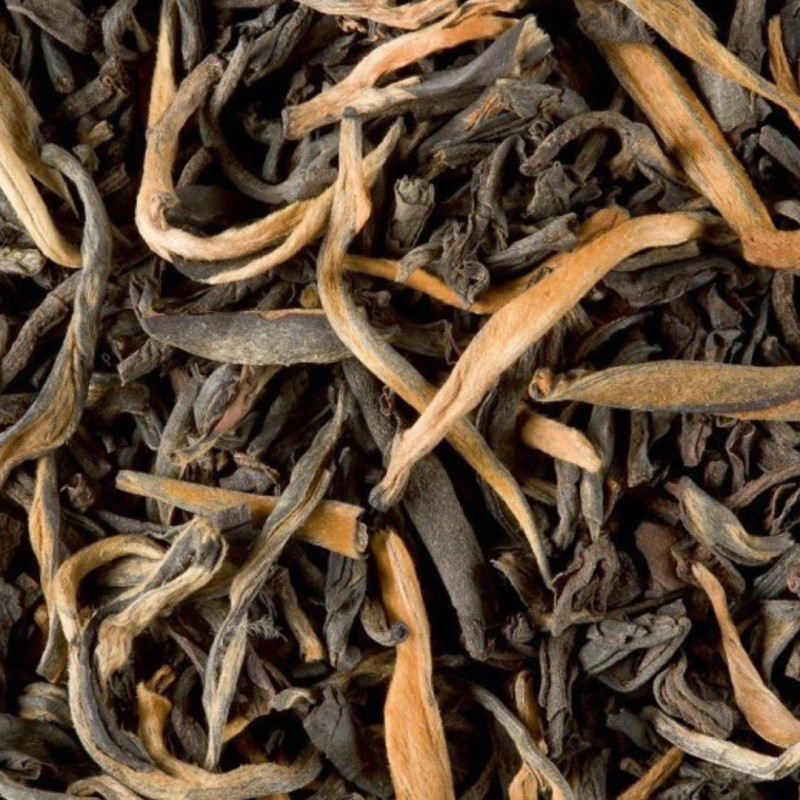 Thé Noir de Chine - Grand Yunnan GFOP Thé Noir de Chine - Grand Yunnan GFOP