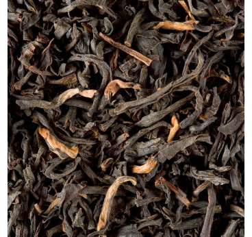 Assam Supérieur G.F.O.P. Dammann Frères – Thé noir d'Inde