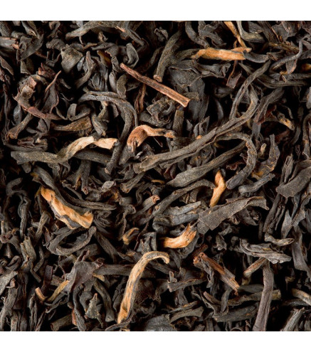 Assam Supérieur G.F.O.P. Dammann Frères – Thé noir d'Inde