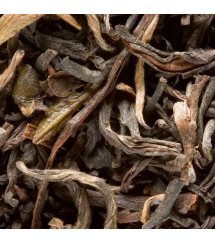 Brunch Tea Dammann Frères – Thé noir Assam et Darjeeling