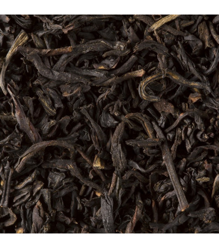 Smokey Lapsang Dammann Frères – Thé noir fumé en vrac