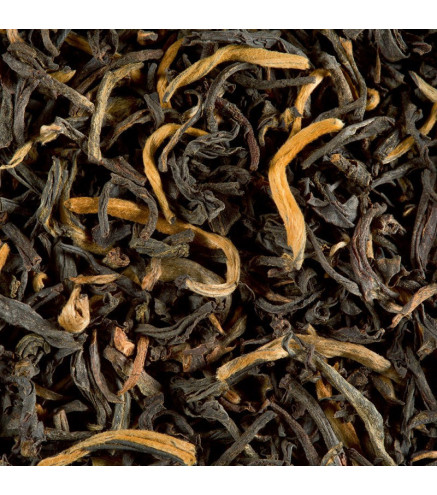 Earl Grey des Seigneurs Dammann Frères – Thé noir bergamote