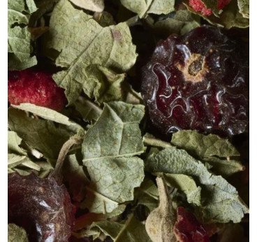 Tisane Fruits Rouges Dammann Frères – Infusion sans théine