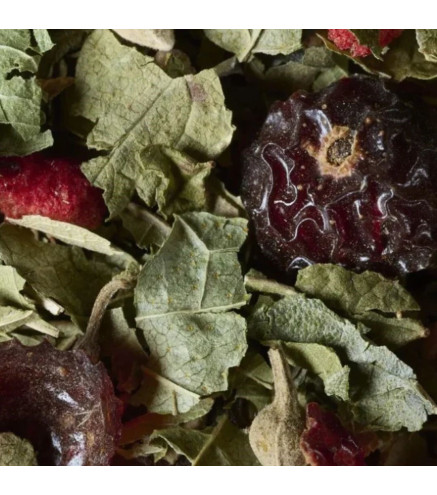 Tisane Fruits Rouges Dammann Frères – Infusion sans théine