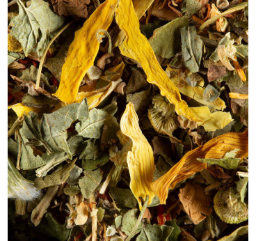 Tisane en vrac Fruits Exotiques - Dammann Frères