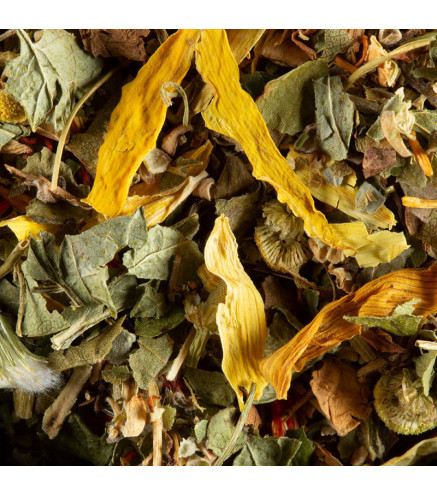 Tisane en vrac Fruits Exotiques - Dammann Frères